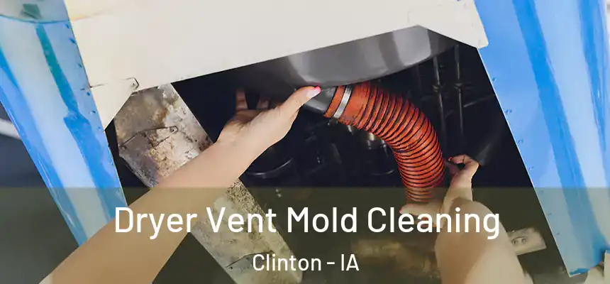  Dryer Vent Mold Cleaning Clinton - IA