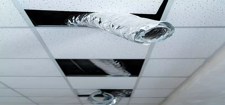 Affordable HVAC Sanitizing After Pest Removal in Clinton