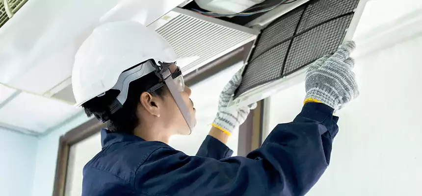 Our Mold & Mildew Removal from Air Ducts Services in Clinton, IA