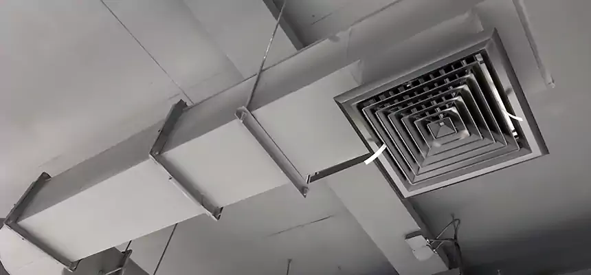 Our Pest Removal From Ducts Services in Clinton, IA