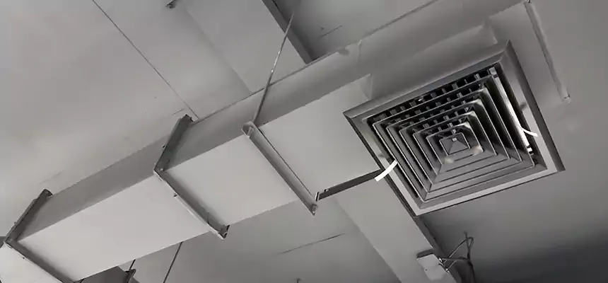 Our Rodent Droppings In Vents Services in Clinton, IA