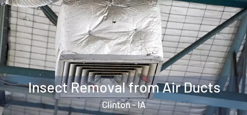  Insect Removal from Air Ducts Clinton - IA