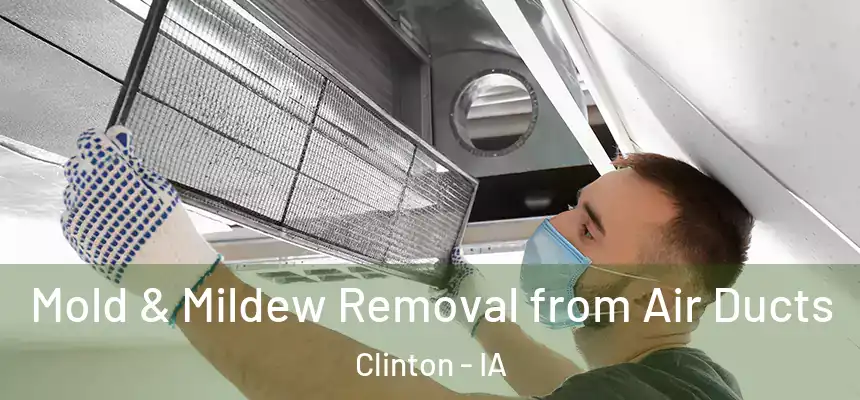  Mold & Mildew Removal from Air Ducts Clinton - IA