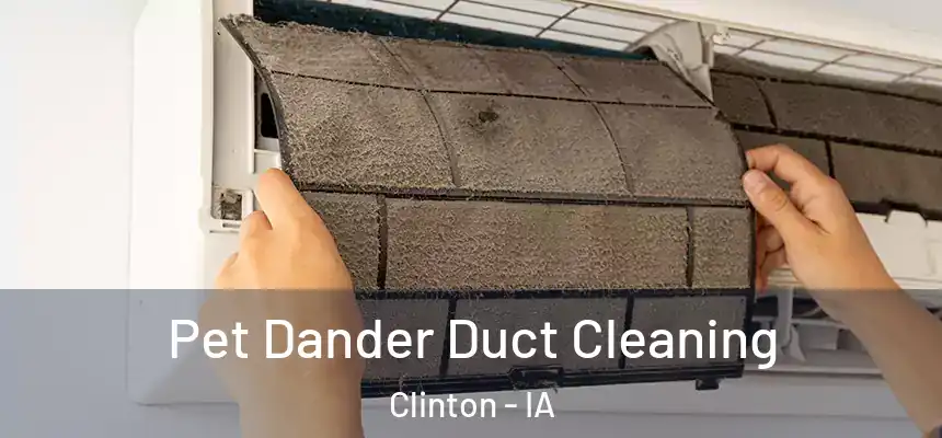  Pet Dander Duct Cleaning Clinton - IA
