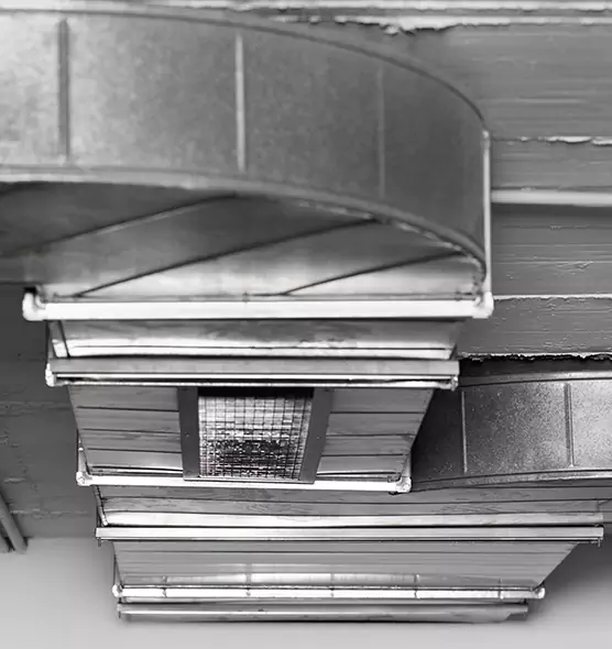 Professional Air Duct Pet Hair Removal in Clinton, IA