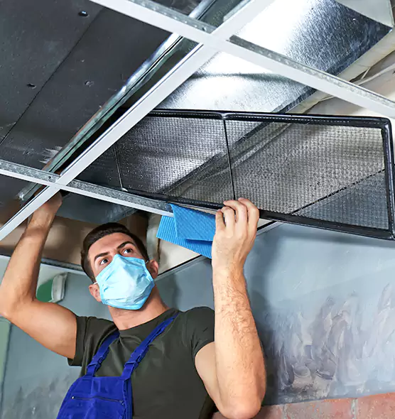 Professional Air Duct Pollen Cleaning in Clinton, IA