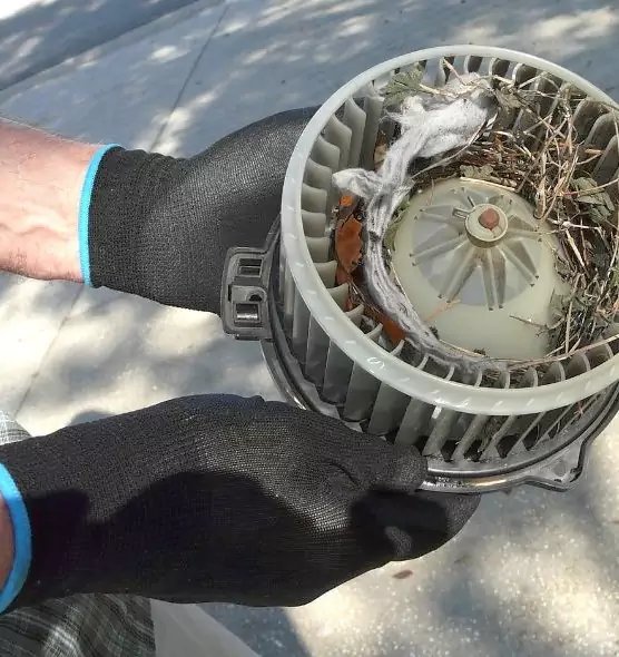 About Air Duct Rat Removal in Clinton, IA