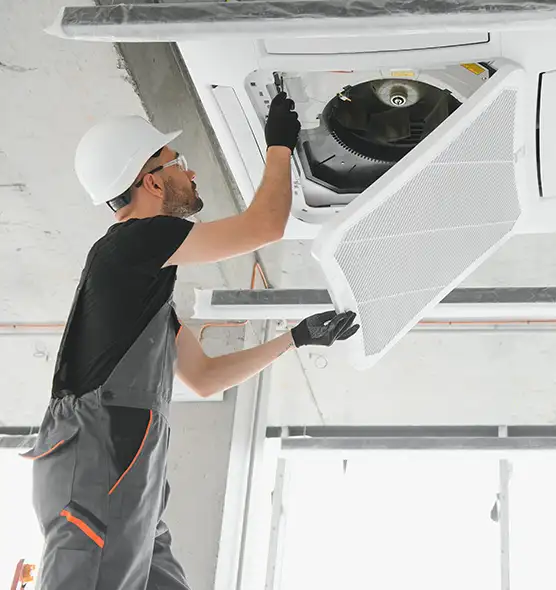 About Air Duct Rodent Removal in Clinton, IA