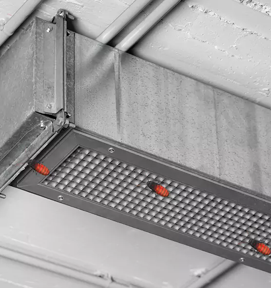 Affordable Insect Removal from Air Ducts in Clinton, IA