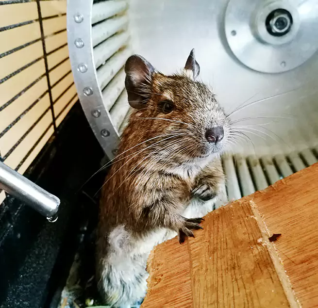 Why Homeowners & Businesses Trust Us Clinton, IA