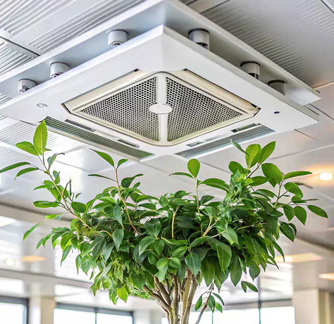 Why Homeowners & Businesses Trust Us in Clinton, IA?