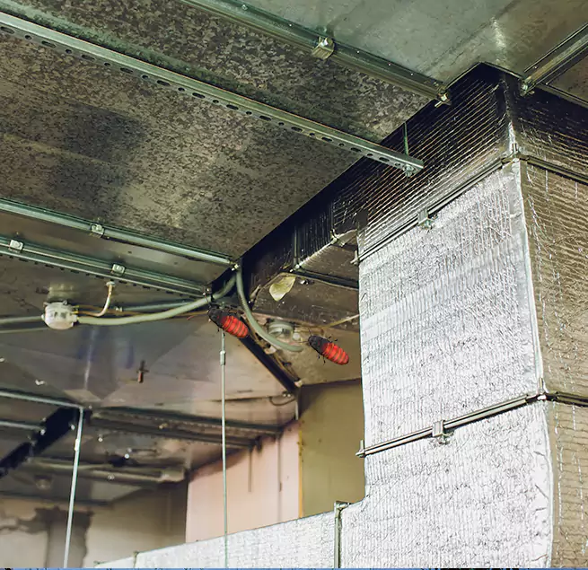 Why Homeowners & Businesses Trust Us Clinton, IA?